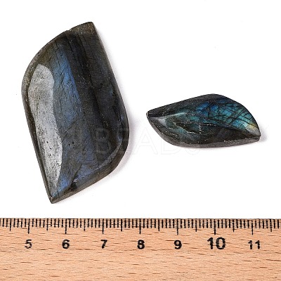Import Natural Labradorite Cabochons G-T138-206-1