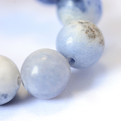 Natural Sodalite Round Bead Strands X-G-E334-8mm-08-1