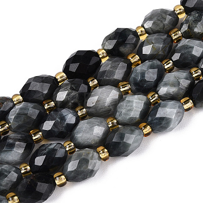 Natural Eagle Eye Stone Beads Strands G-N342-35-8x6-03-1