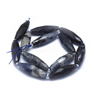 Natural Iolite Beads Strands G-O179-G22-1