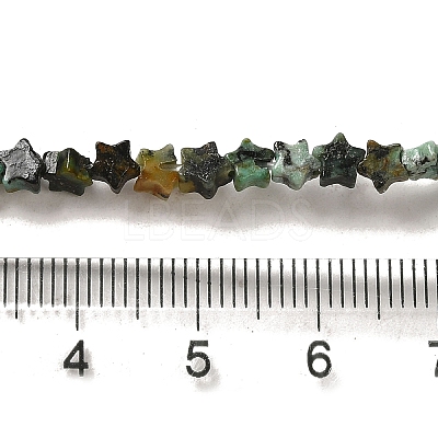 Natural African Turquoise(Jasper) Beads Strands G-G085-B06-01-1