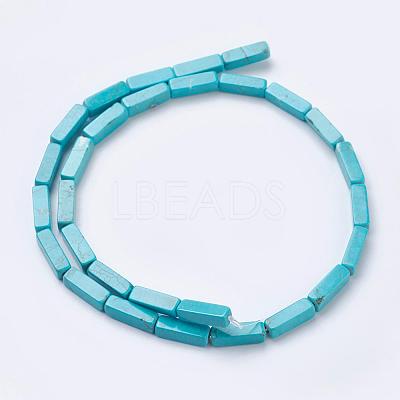 Natural Magnesite Beads Strands TURQ-K003-13-1