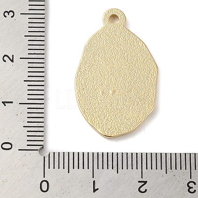 Zinc Alloy Enamel Pendants LS-ENAM-Z013-01C-01-1