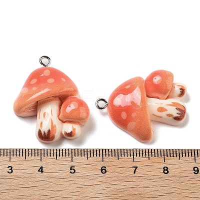 Resin Pendants RESI-Z031-01E-1