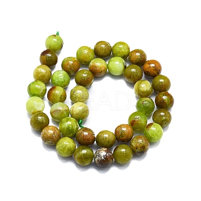 Natural Green Opal Beads Strands G-K245-A17-A05-1