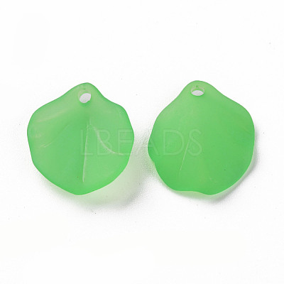 Transparent Frosted Acrylic Pendants MACR-S371-02A-734-1