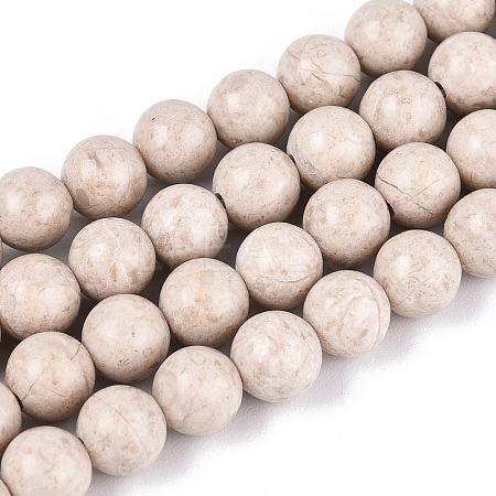 Dyed Natural Fossil Beads Strands G-T139-6mm-66A-1