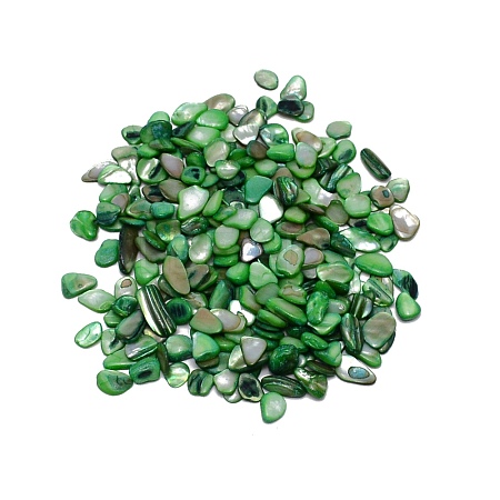 Natural Shell Beads BSHE-WH0001-06-1