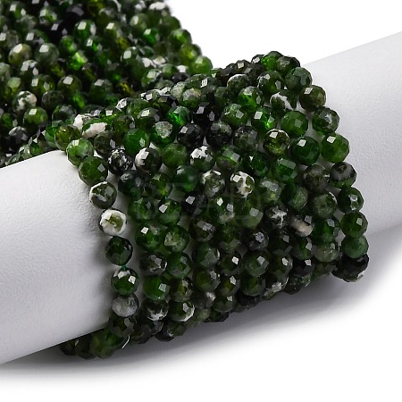 Natural Diopside Beads Strands G-G188-B14-02-1