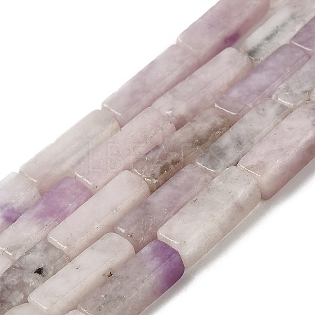 Natural Lepidolite/Purple Mica Stone Beads Strands G-E612-C05-C-1