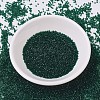 MIYUKI Delica Beads SEED-X0054-DB0713-2