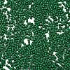 Baking Paint Glass Seed Beads SEED-S042-05B-66-3