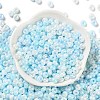 3/0 Glass Seed Beads SEED-L011-03A-12-2