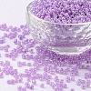 8/0 Glass Seed Beads SEED-US0003-3mm-150-1