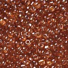 6/0 Glass Seed Beads SEED-US0003-4mm-109-2