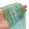 Transparent Painted Glass Beads Strands DGLA-A034-T4mm-A16-2