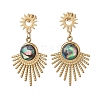 Paua Shell Dangle Stud Earrings EJEW-JE06963-01-3