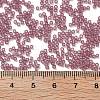 Frosted Colours Glass Seed Beads SEED-H003-06A-4