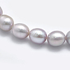 Natural Cultured Freshwater Pearl Beads Strands PEAR-K003-23B-01-3