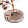 Natural Gemstone Chips & Agate Pedestal Display Decorations DJEW-A001-04G-4