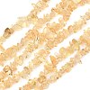 Heated Natural Citrine(Heated) Beads Strands G-K395-C01-01-2