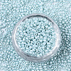 Frosted Opaque Glass Seed Beads X-SEED-S042-06A-03-2