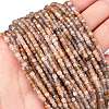Natural Multi-Moonstone Beads Strands G-L587-C05-02-2
