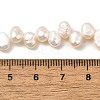 Natural Cultured Freshwater Pearl Beads Strands PEAR-I007-03B-01A-5