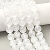 Natural Selenite Beads Strands G-L552H-16D-1