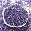 Glass Seed Beads SEED-S042-04A-08-2