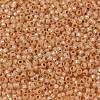 MIYUKI Round Rocailles Beads X-SEED-G008-RR0580-3