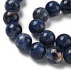 Round Natural Sodalite Beads Strands G-F222-39-14mm-3