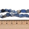 Natural Kyanite Beads Strands G-Q060-D17-5