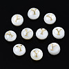 Natural Freshwater Shell Beads SHEL-S278-036Y-1