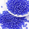 6/0 Glass Seed Beads X-SEED-J012-F6-108-1