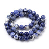 Natural South Africa Sodalite Beads Strands X-G-S259-35-10mm-3