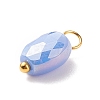 Electroplate Glass Pendants PALLOY-JF01541-04-4