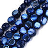 Natural Freshwater Shell Beads Strands SHEL-S276-110B-02-1