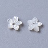 Natural White Shell Mother of Pearl Shell Beads BSHE-L043-15-2