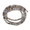 Natural Labradorite Beads Strands G-RM2025-C34-A-3