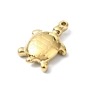 304 Stainless Steel Pendants STAS-L022-440G-01-2