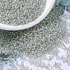 MIYUKI Round Rocailles Beads X-SEED-G007-RR3192-1