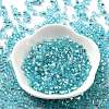Glass Seed Beads SEED-M011-01B-06-2