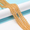 Transparent Glass Beads Strands EGLA-A034-T4mm-MD23-2