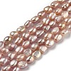 Natural Cultured Freshwater Pearl Beads Strands PEAR-L033-30B-1
