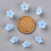 Transparent Acrylic Beads X-PL554-12-4