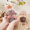 2Pcs 2 Styles Natural Amethyst & Rose Quartz Chips Tree of Life Decorations AJEW-OC0014-06B-3