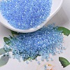 MIYUKI Delica Beads X-SEED-J020-DB0176-1