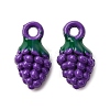 Baking Paint Alloy Pendants FIND-G097-04B-1