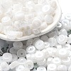 Opaque Colours Luster Glass Seed Beads SEED-E001-P3x6mm-A13-1